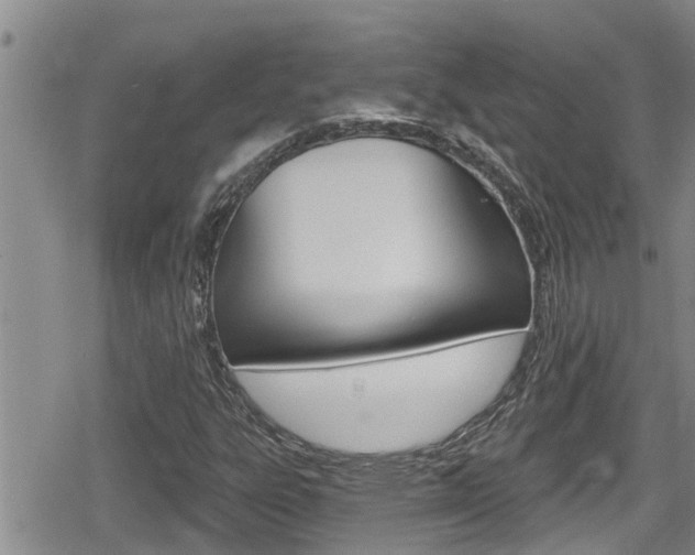X0000080201303200612081124