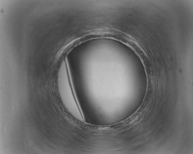 X0000080201304200612081124