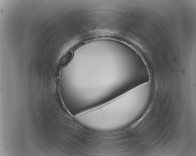 X0000080201309200612081124