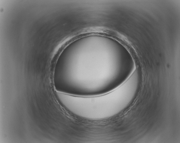 X0000080201312200612081124