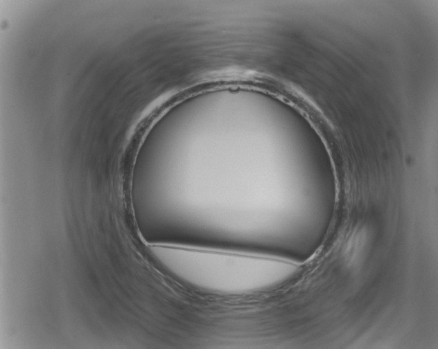 X0000080201315200612081124