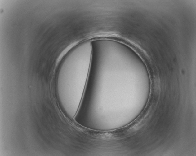 X0000080201317200612081124