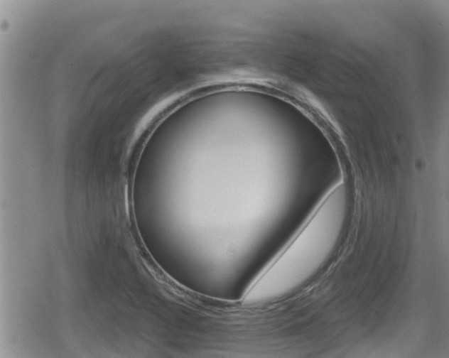 X0000080201320200612081124