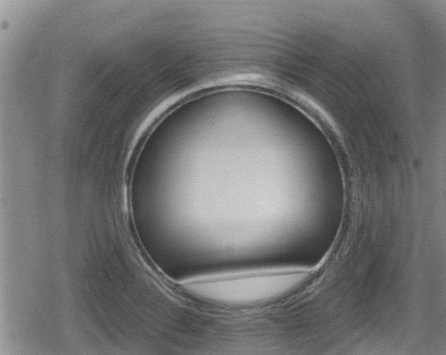 X0000080201324200612081124