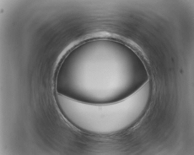 X0000080201326200612081124