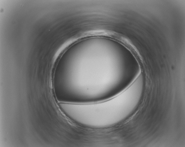 X0000080201328200612081124