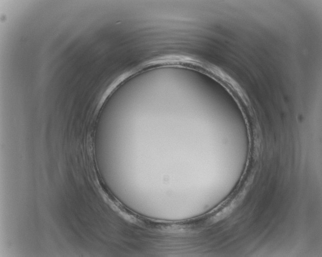 X0000080201329200612081124