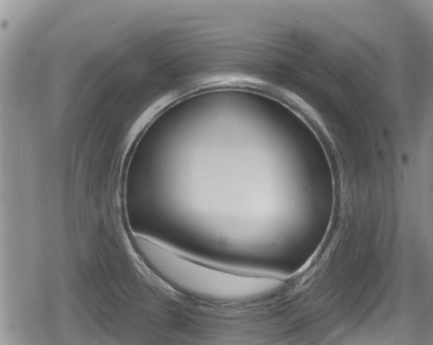 X0000080201330200612081124