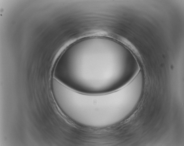 X0000080201332200612081124