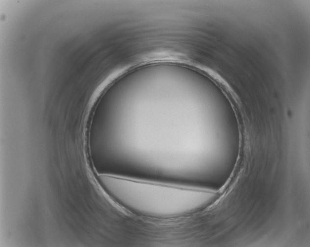 X0000080201333200612081124