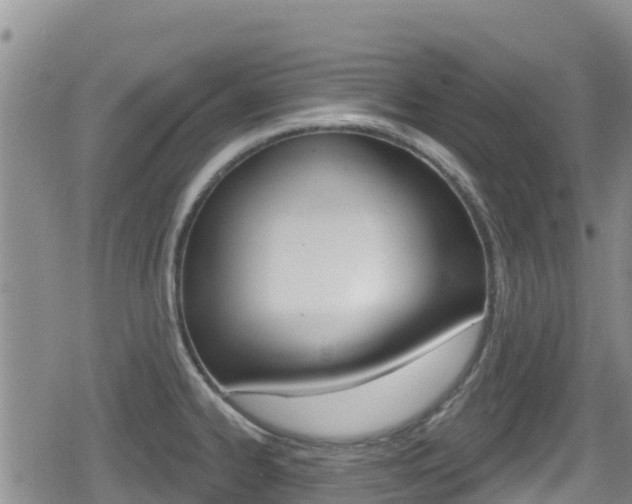 X0000080201334200612081124