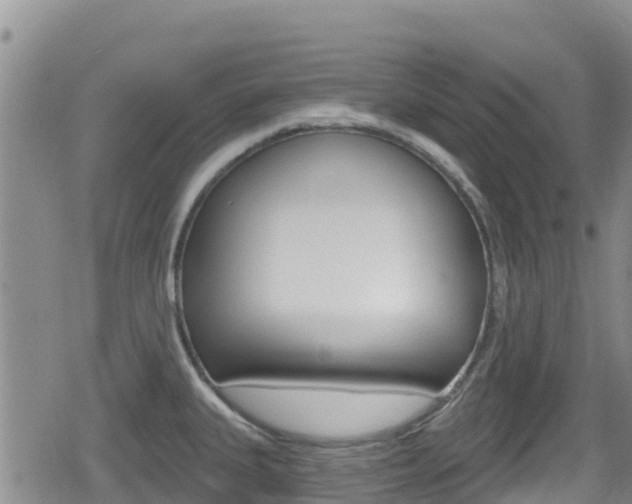 X0000080201335200612081124
