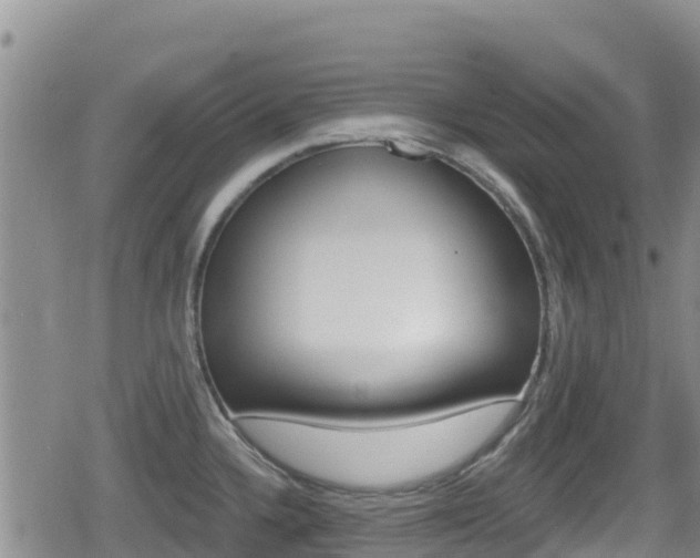 X0000080201336200612081124