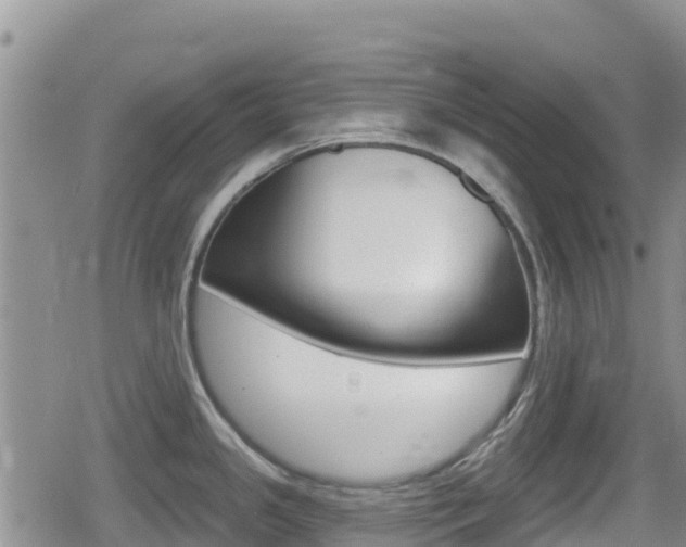 X0000080201341200612081124