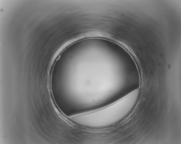 X0000080201342200612081124
