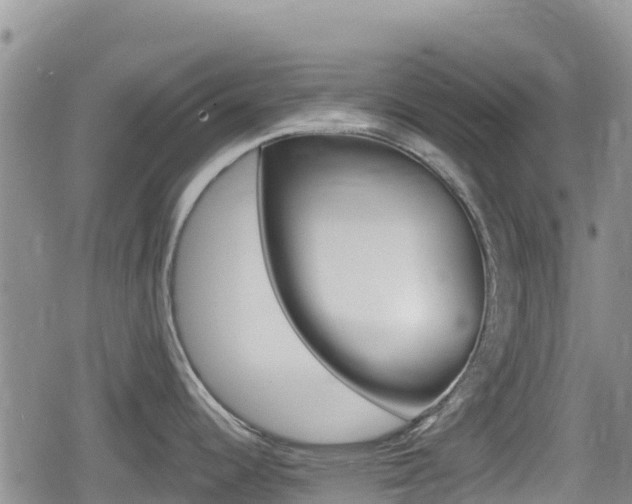 X0000080201344200612081124