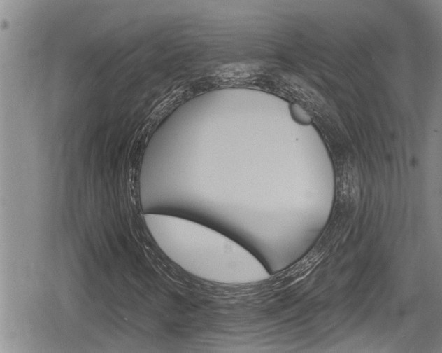 X0000080201346200612081124