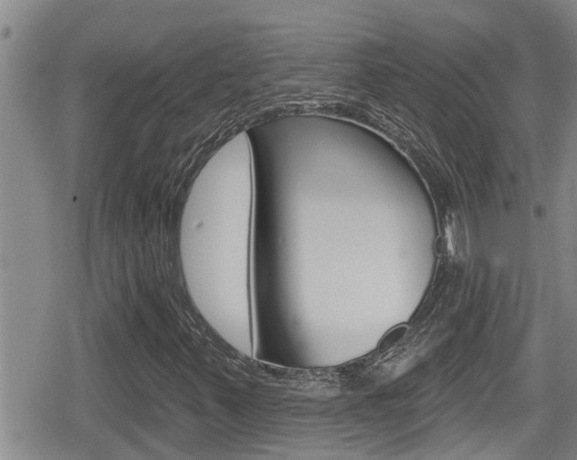 X0000080201347200612081124