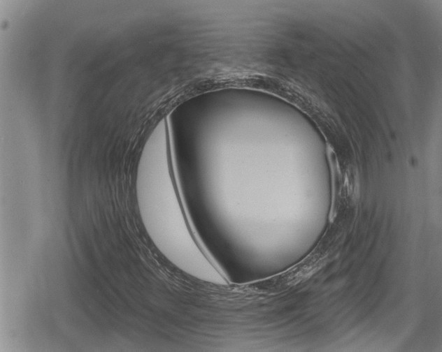 X0000080201348200612081124