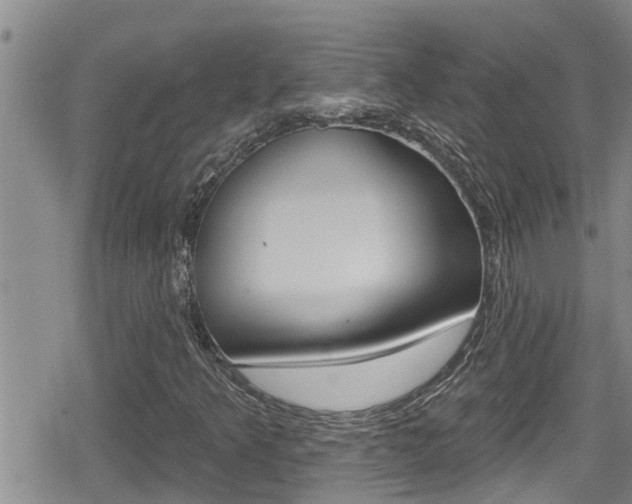 X0000080201349200612081124