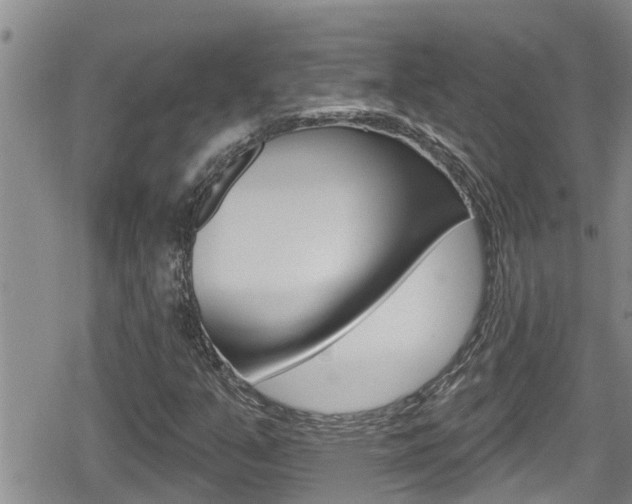 X0000080201351200612081124