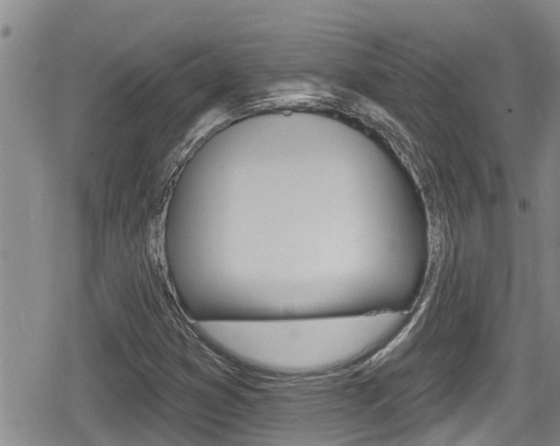 X0000080201353200612081124