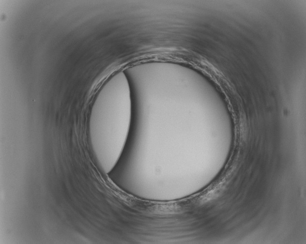 X0000080201354200612081124