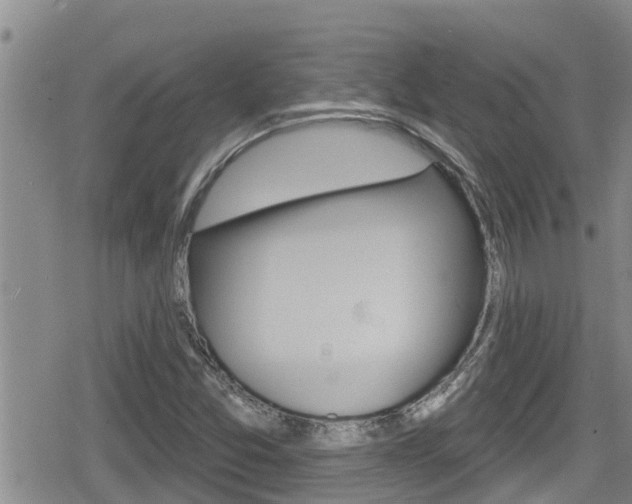 X0000080201357200612081123