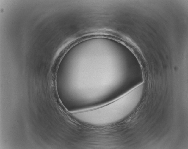 X0000080201360200612081123