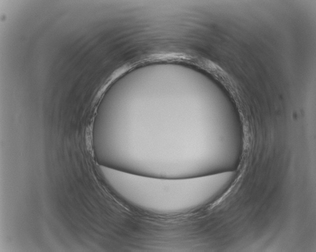 X0000080201361200612081123