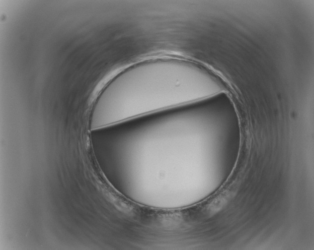 X0000080201363200612081123