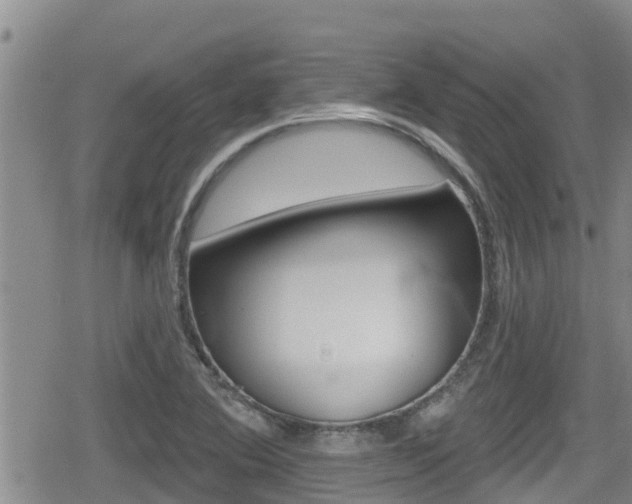 X0000080201364200612081123