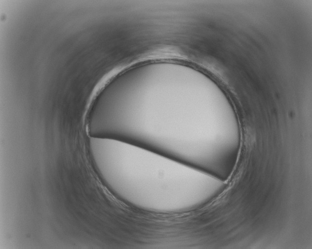 X0000080201366200612081123