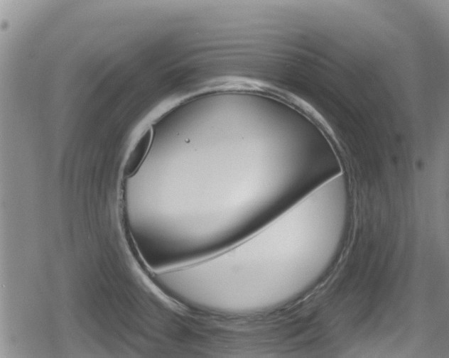 X0000080201379200612081123