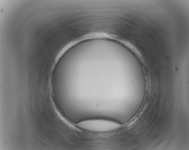 X0000080201382200612081123