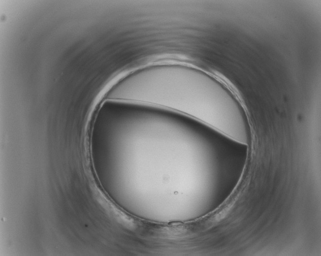 X0000080201384200612081123