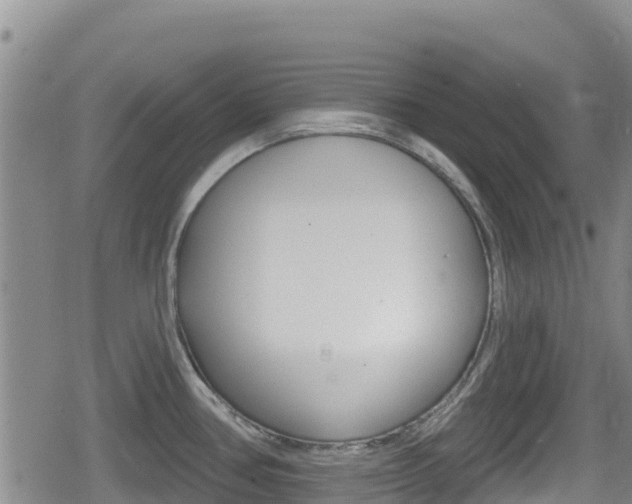 X0000080201386200612081123