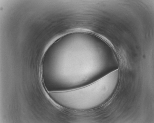 X0000080201391200612081123