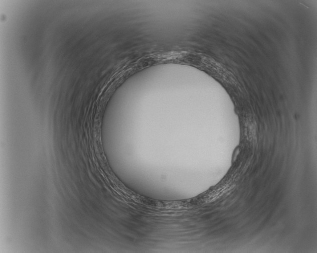X0000080201393200612081122