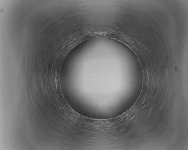 X0000080201394200612081122