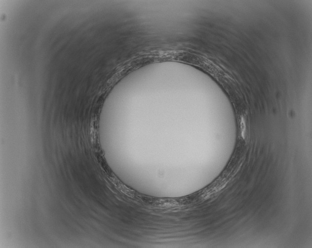 X0000080201395200612081122