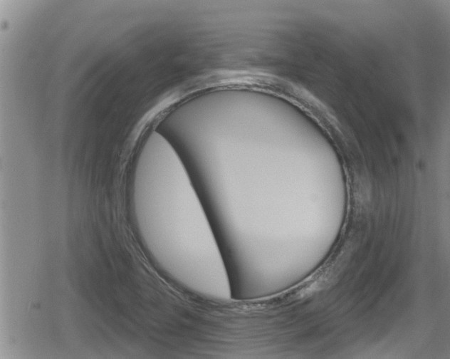 X0000080201411200612081122