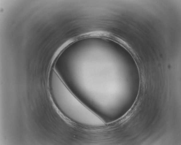 X0000080201426200612081123