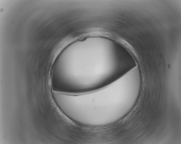 X0000080201428200612081123