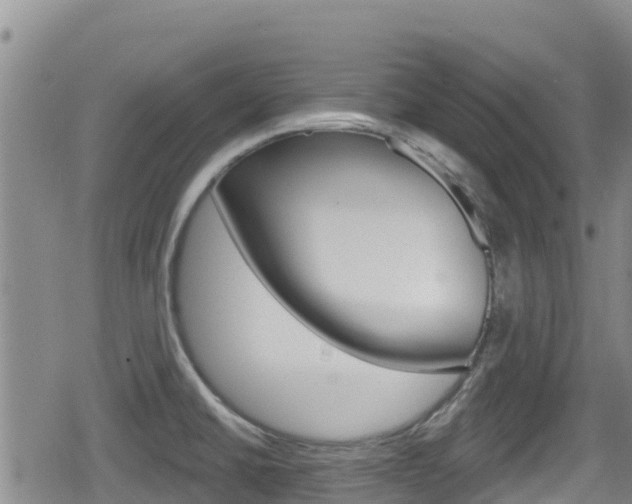 X0000080201430200612081123