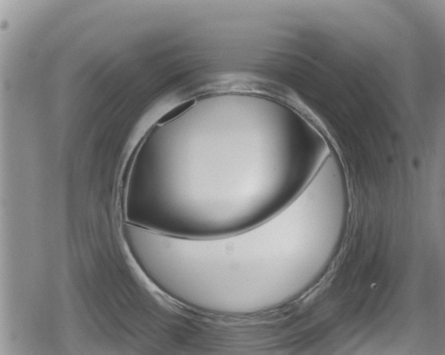 X0000080201434200612081123