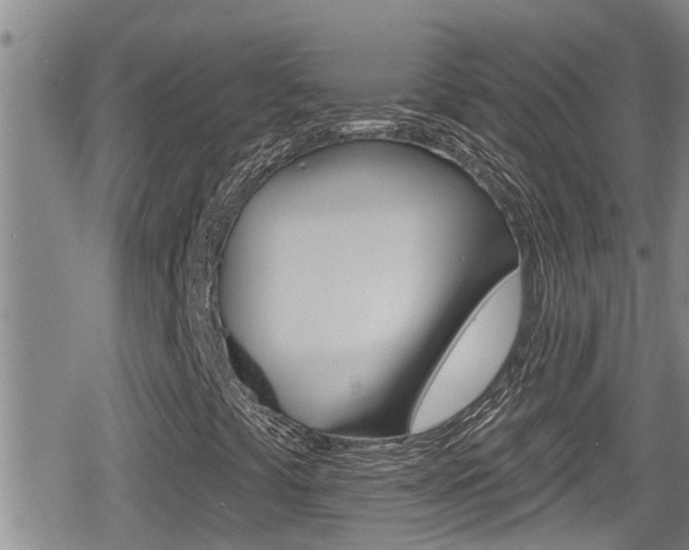 X0000080201441200612081122