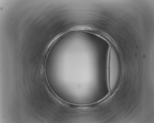 X0000080201465200612081122