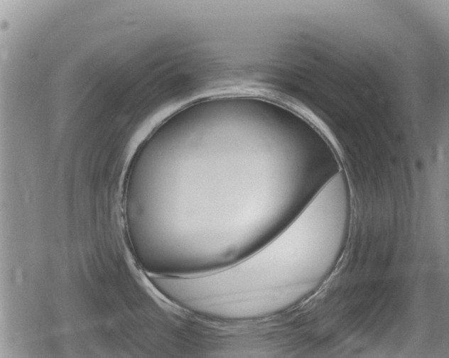 X0000080201485200612081121