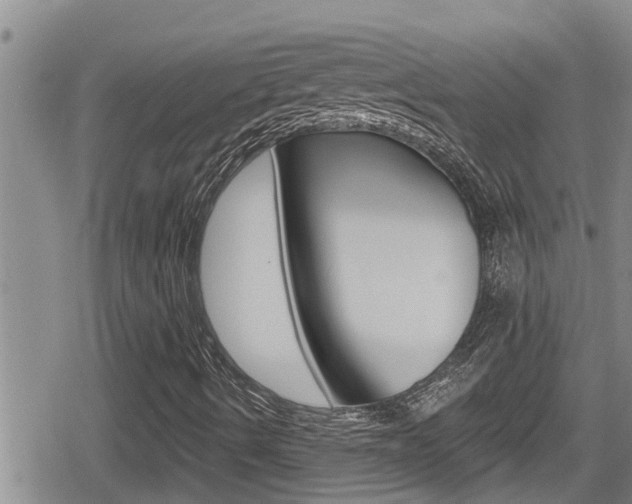 X0000080201490200612081121